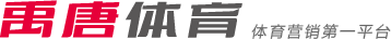 南美足球必