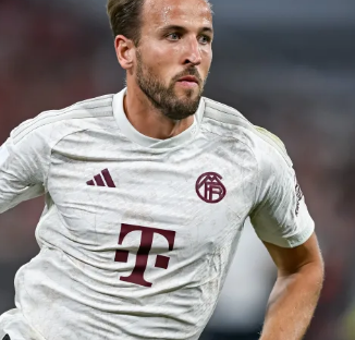 在这个过程 在这个过程