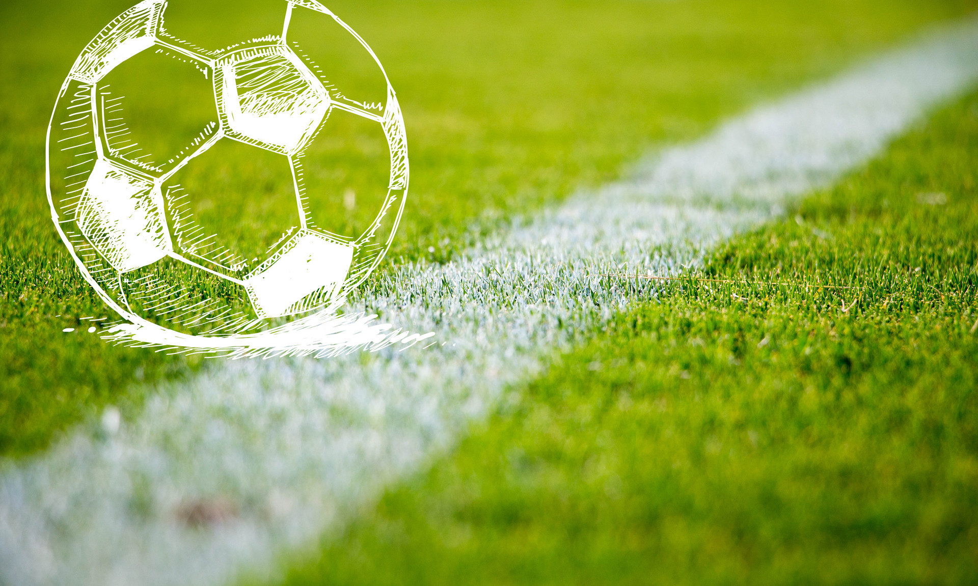 比赛期间 比赛期间