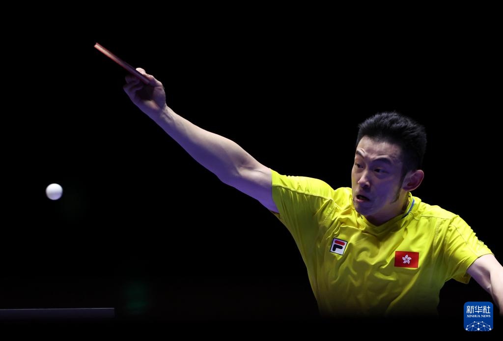 杂的条款 杂的条款