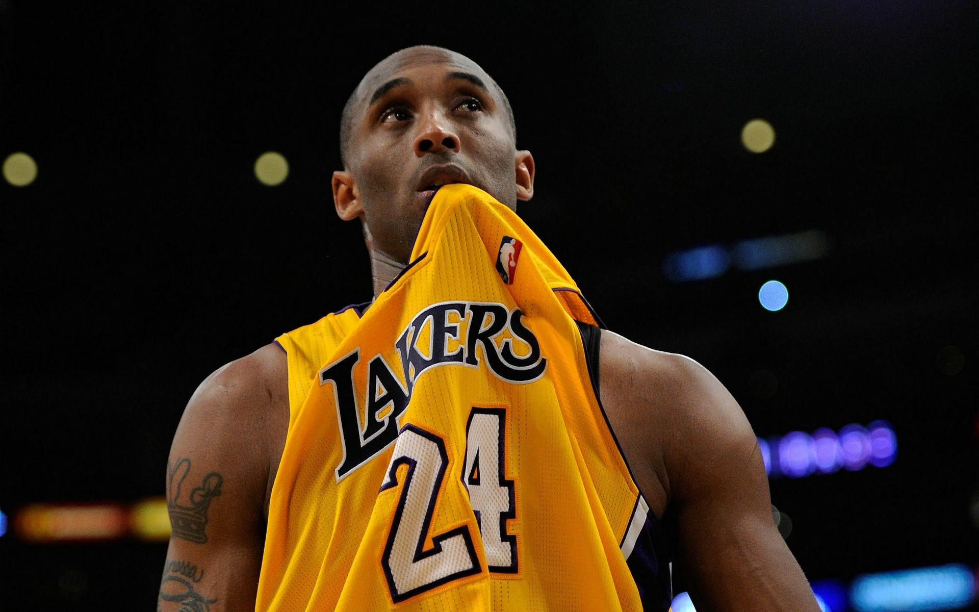 因为这意味 因为这意味