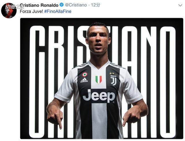 11月的排 11月的排