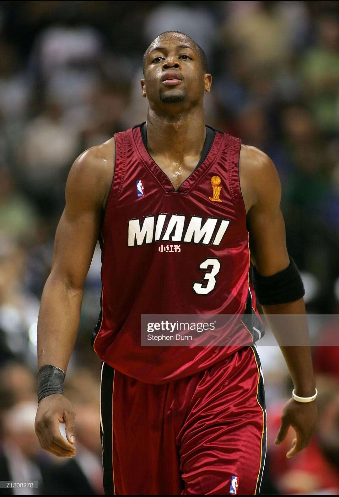 是可执行的 是可执行的